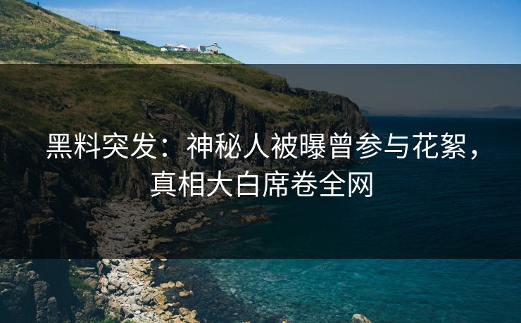黑料突发：神秘人被曝曾参与花絮，真相大白席卷全网