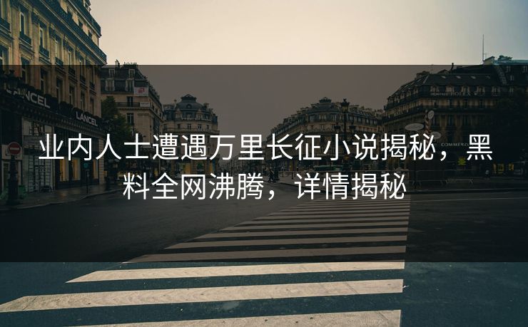 业内人士遭遇万里长征小说揭秘，黑料全网沸腾，详情揭秘